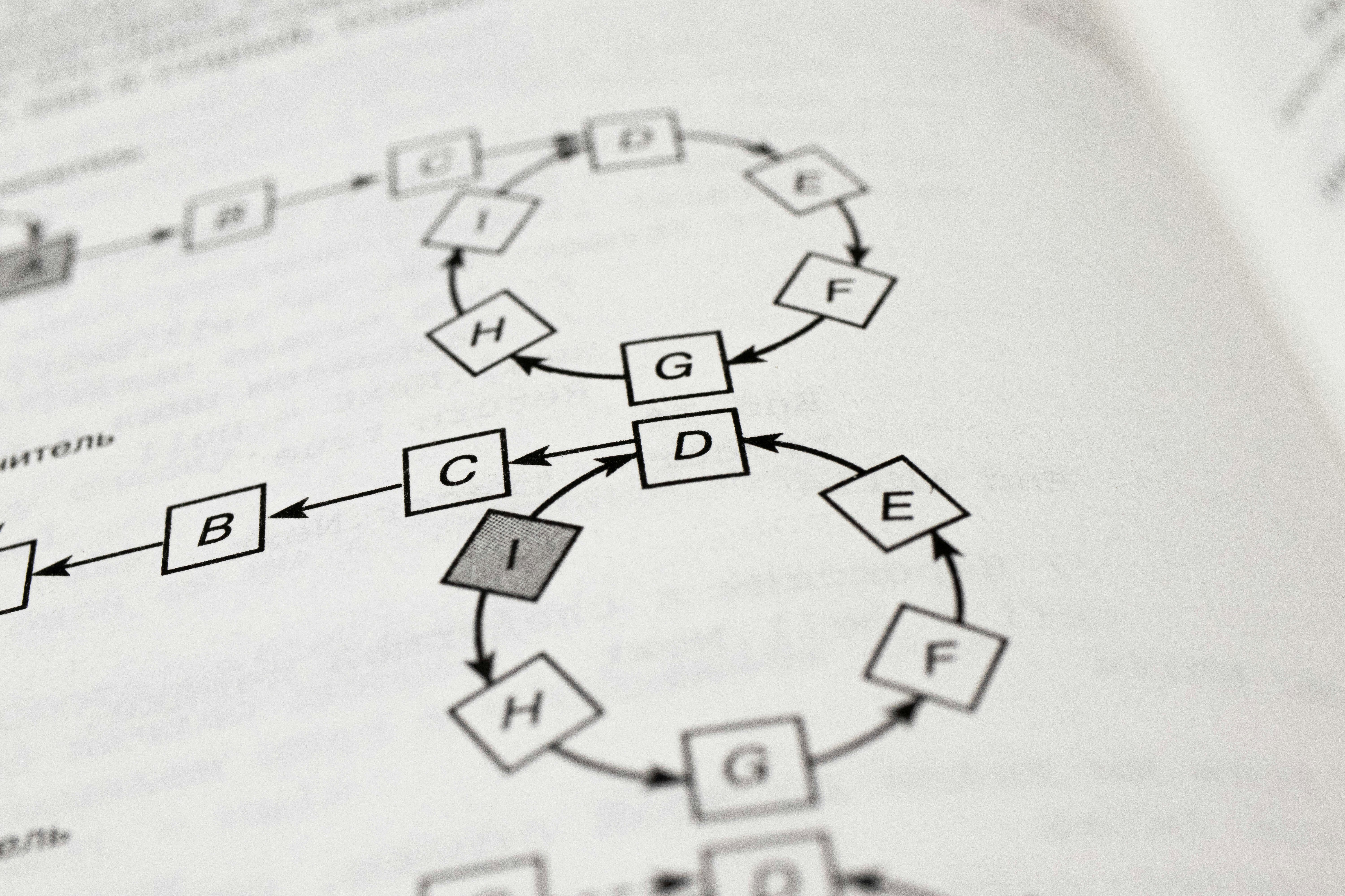 An algorithm diagram