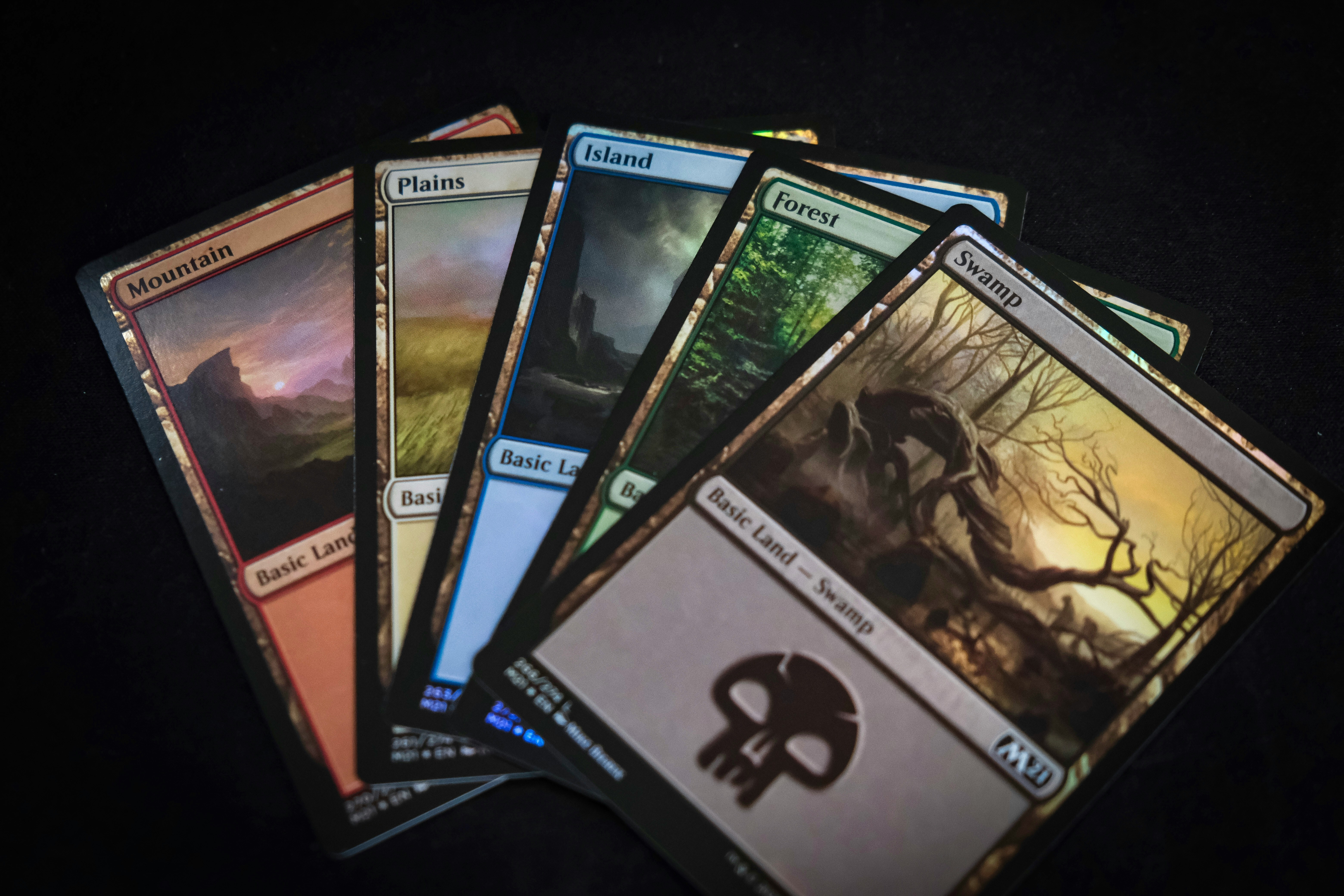 Magic The Gathering Cards - 5 basic lands